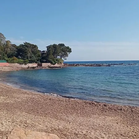 Studio Bord De Mer Avec Terrasse Et Jardin